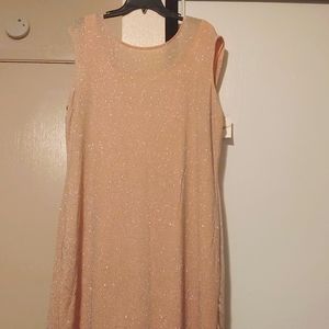 Olivia Matthews 3x Blush shimmer dress New With Tags